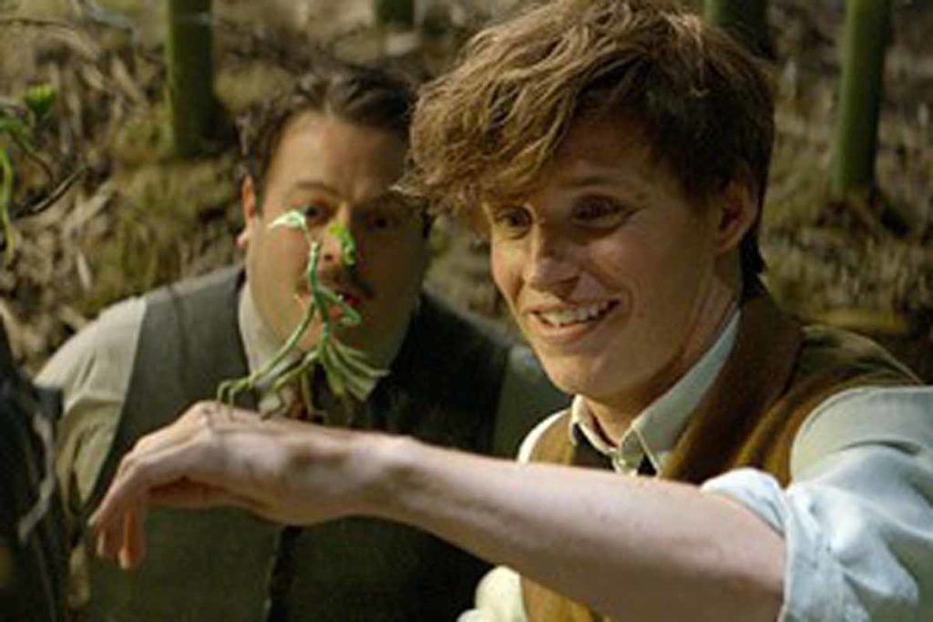 Фантастические твари и где они обитают — обсуждение и