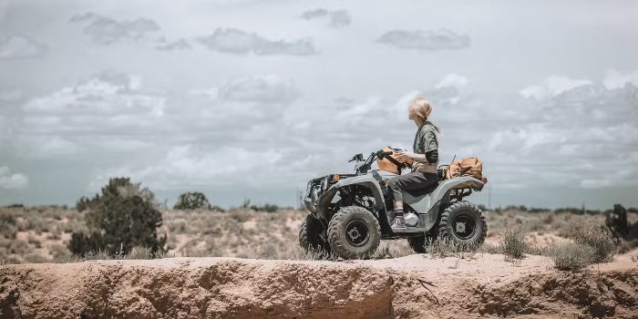 Ксено - объяснение концовки и смысл фильма