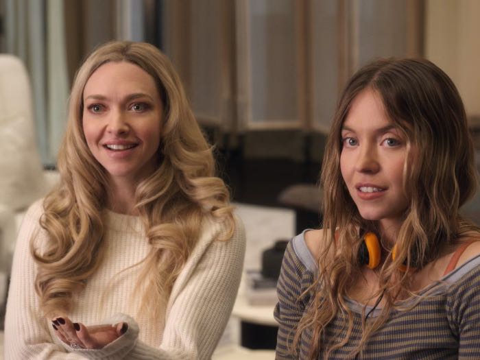 Горничная - объяснение концовки и смысл фильма