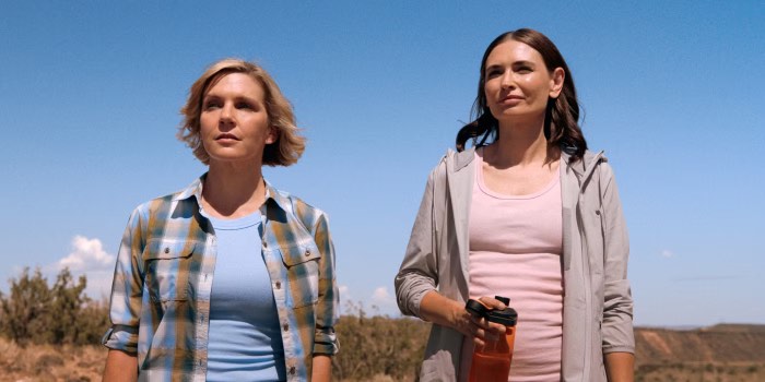 Одна из многих - 8 серия - объяснение концовки и ее смысл